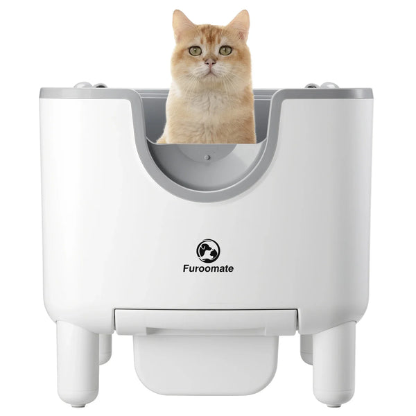 Product placeholder