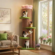 https://ae-pic-a1.aliexpress-media.com/kf/S36367b8a8f3f48e6a6ad217bd8276a2cA.jpg_220x220q75.jpg_.webp