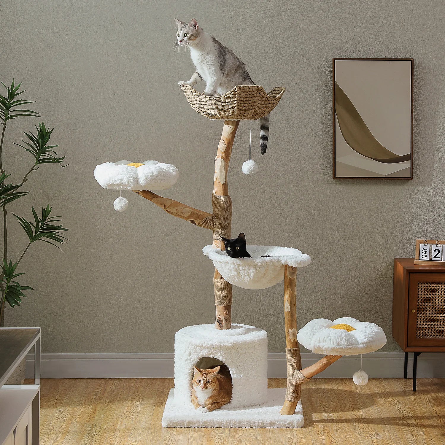 https://ae-pic-a1.aliexpress-media.com/kf/S47e923f51715478fa772c7877fc3ab5bf.jpg