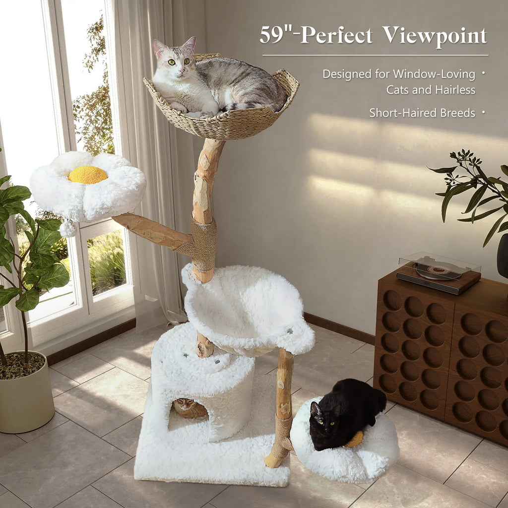 https://ae-pic-a1.aliexpress-media.com/kf/S7f6087f437fa427fb69c864563775e492.jpg