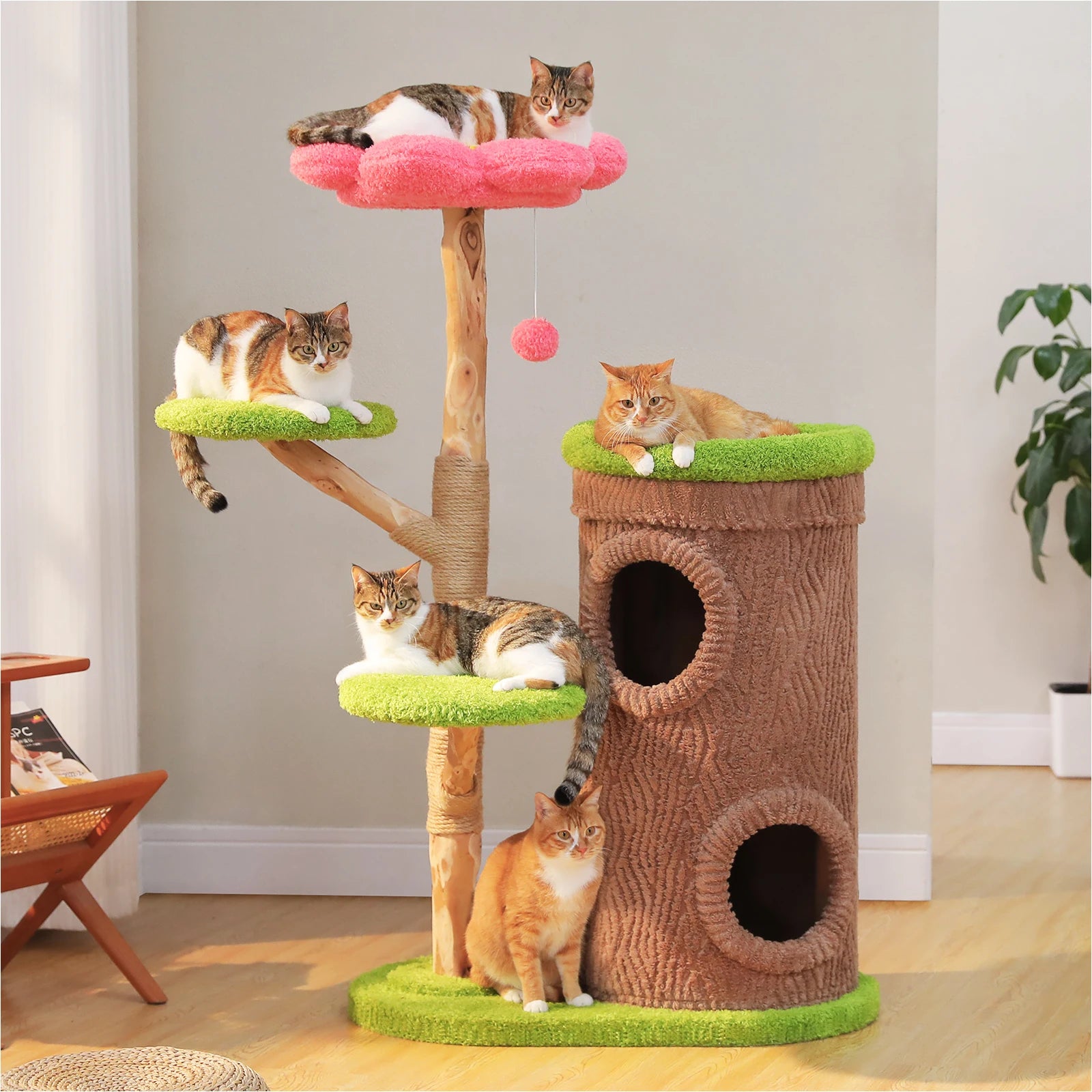 https://ae-pic-a1.aliexpress-media.com/kf/Sd09ee307be01446a9e1c122a9c268133o.jpg