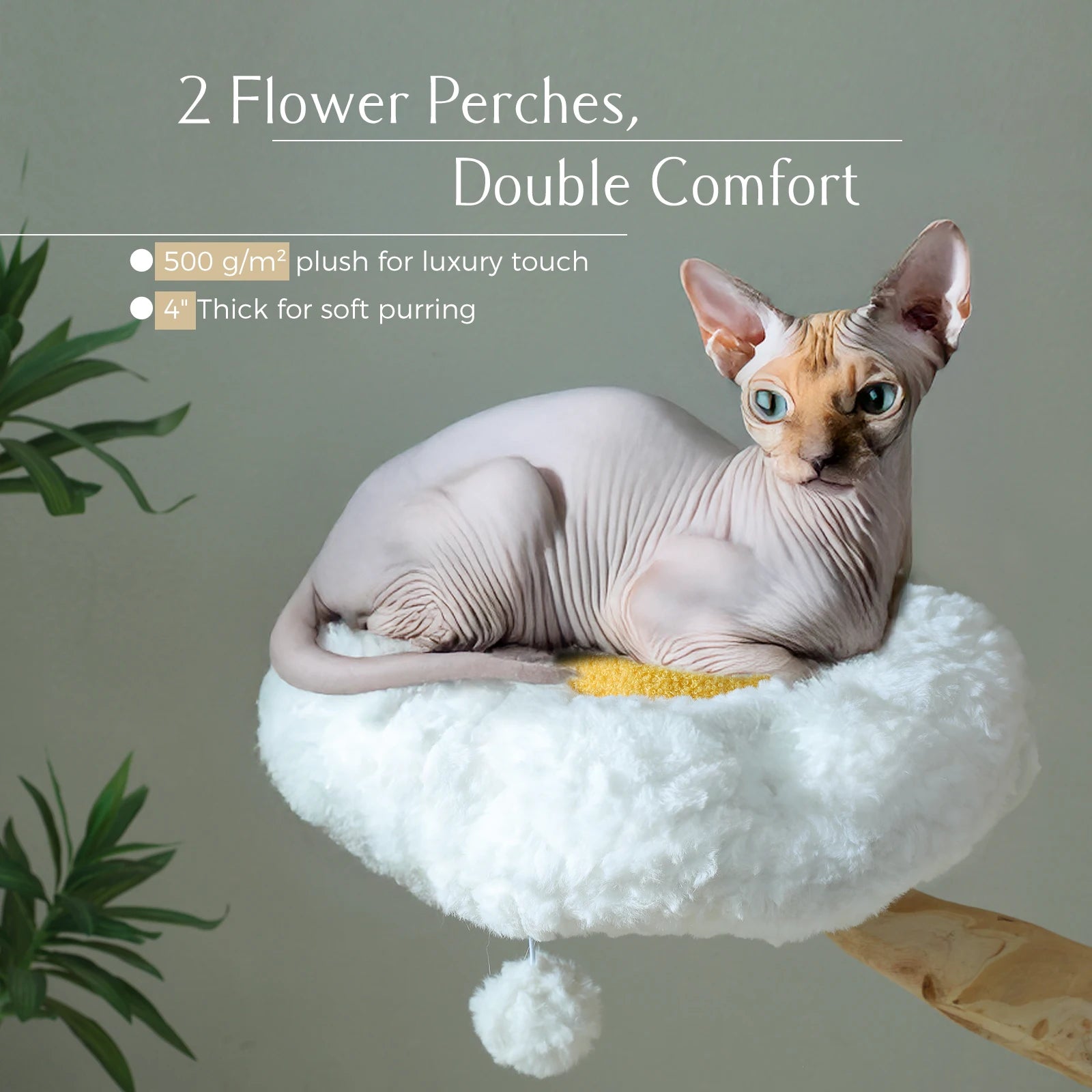 https://ae-pic-a1.aliexpress-media.com/kf/Sf9e05bb8c1ae4277a77344be7a02ff32E.jpg